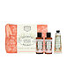 Panier des Sens Rose Géranium krém na ruce 30 ml + SG 70 ml + BL 70 ml + kosmetická taška W