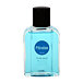 Pitralon Polar AS 100 ml M