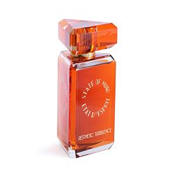 State of Mind Aesthetic Turbulence EDP 100 ml UNISEX
