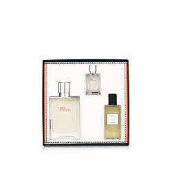 Hermès Terre D'Hermès Eau Givrée EDP plnitelný 100 ml + EDP MINI 12,5 ml + SG 80 ml M