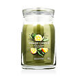 Yankee Candle Signature vonná svíčka Mango Ice Cream 567 g - Sage & Citrus