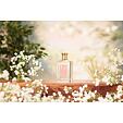 Floris Lily EDT 100 ml W