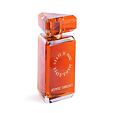 State of Mind Aesthetic Turbulence EDP 100 ml UNISEX