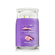 Yankee Candle Signature vonná svíčka Mango Ice Cream 567 g - Stargazing