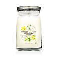 Yankee Candle Signature vonná svíčka Mango Ice Cream 567 g - Midnight Jasmine