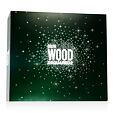Dsquared2 Green Wood EDT 100 ml + ASB 100 ml + SG 100 ml M - Starý obal