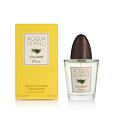 Pino Silvestre Acqua di Pino Cologne EDC Concentrée 125 ml M
