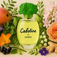 Grès Cabotine de Gres EDT 100 ml W