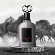 Zimaya Stallion EDP 100 ml M