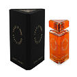 State of Mind Aesthetic Turbulence EDP 100 ml UNISEX - Starý obal
