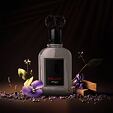Zimaya Stallion EDP 100 ml M